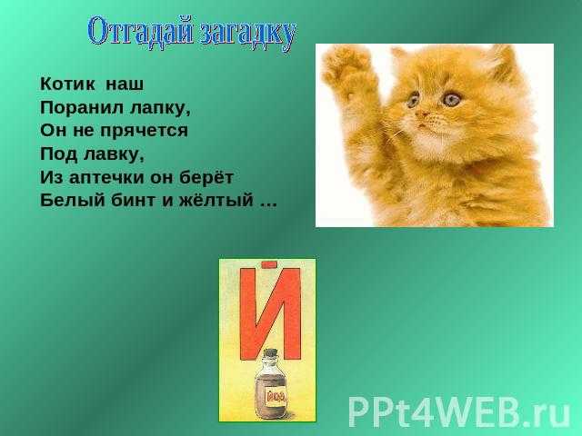 "загадки о спорте и здоровье" картотека (старшая группа) на тему. загадки и пословицы про здоровье для детей