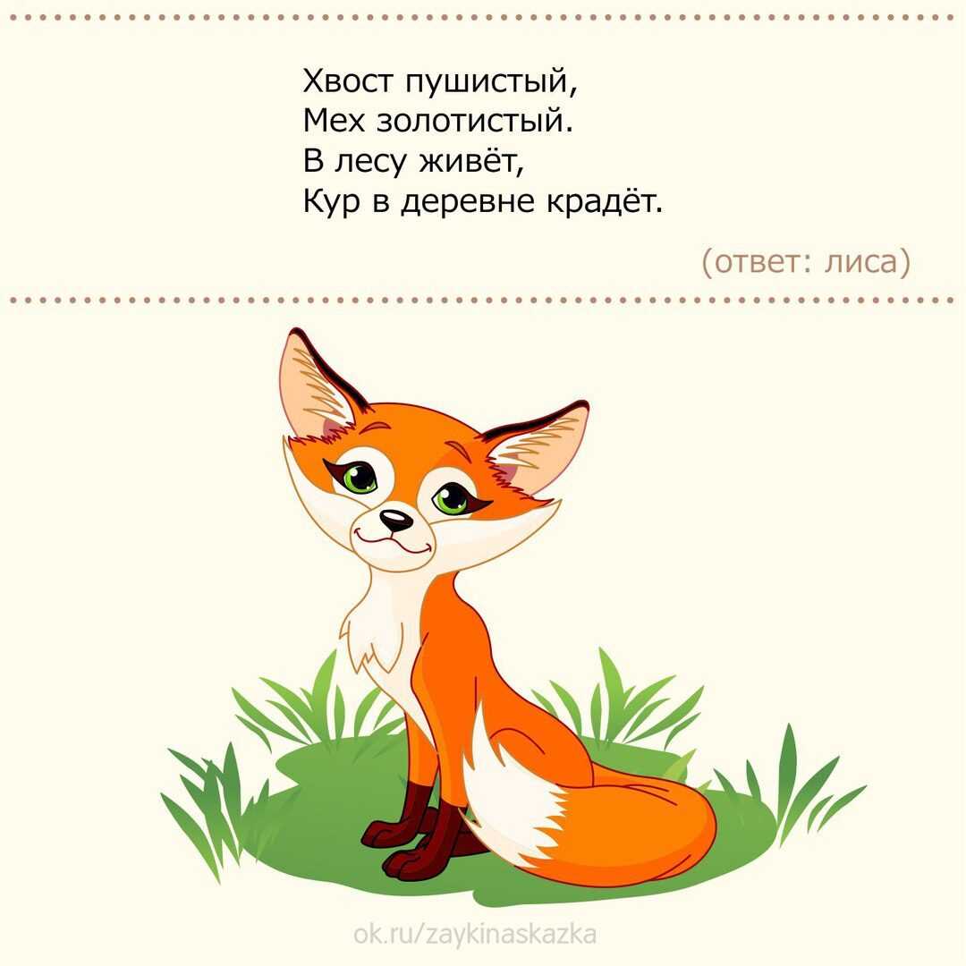 Загадки про жирафа для детей
