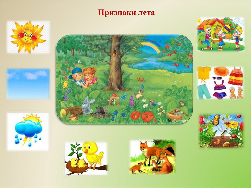 Лето (1 класс, тема окружающего мира)
