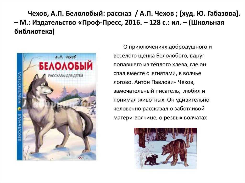 Лобо – властелин куррумпо