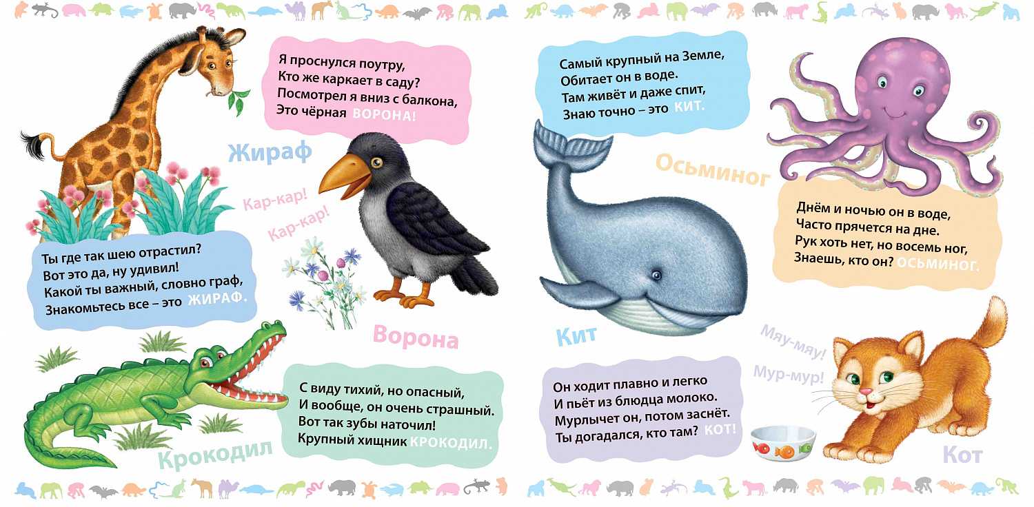 Загадки про жирафа для детей