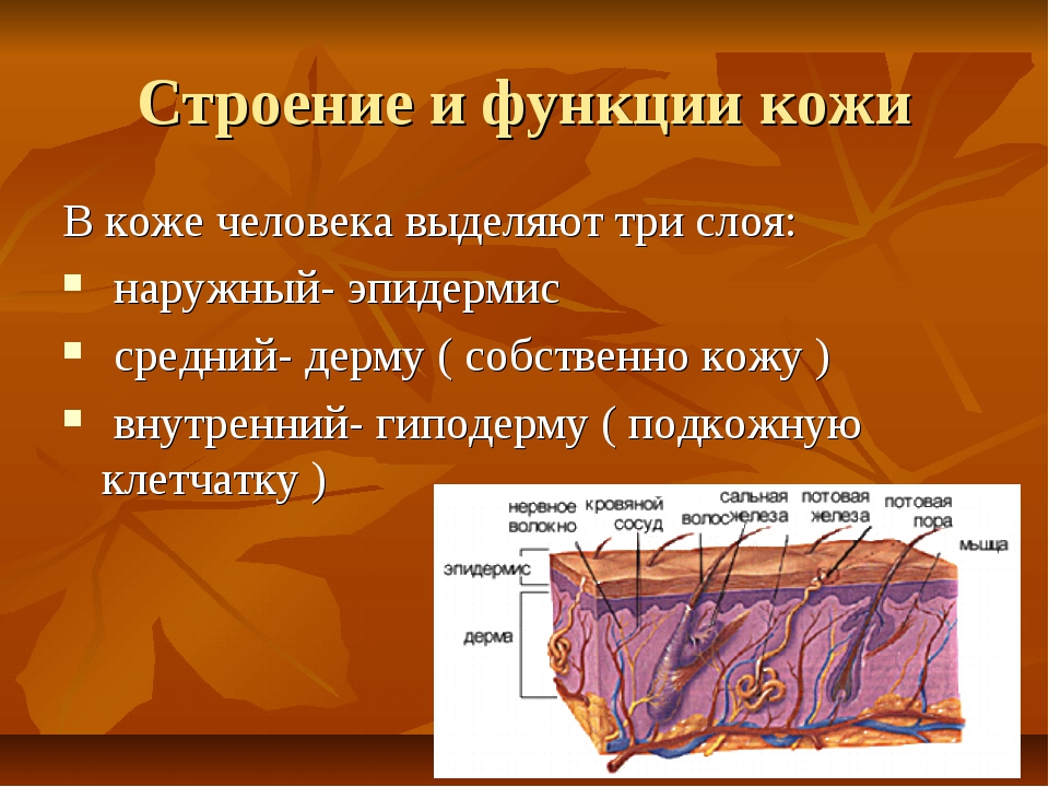 Особенности детской кожи | сайт препарата «банеоцин»