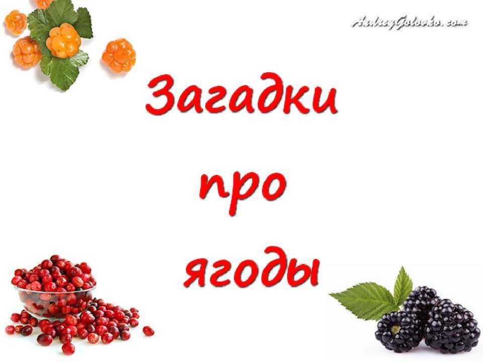 Загадки про ягоды для детей с ответами