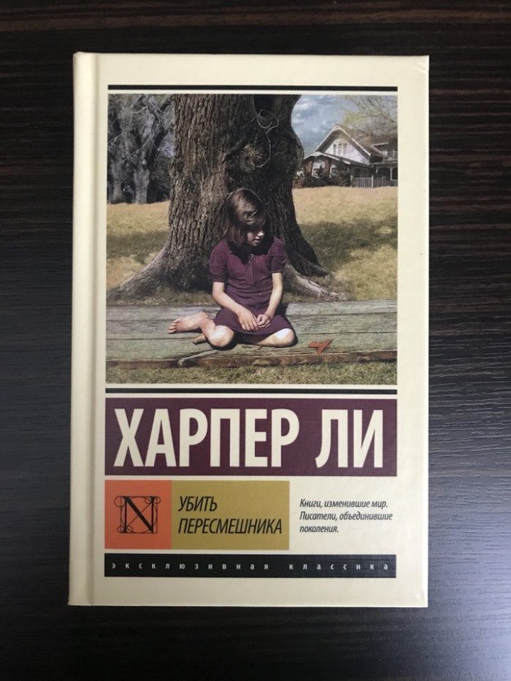 «убить пересмешника»: смысл, анализ и проблематика романа харпер ли - много смысла