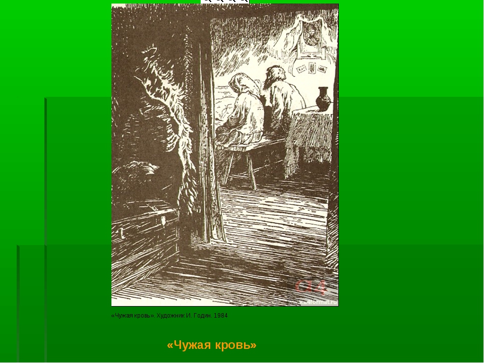 Рассказ "чужая кровь": краткое содержание. шолохов м.а., "донские рассказы"