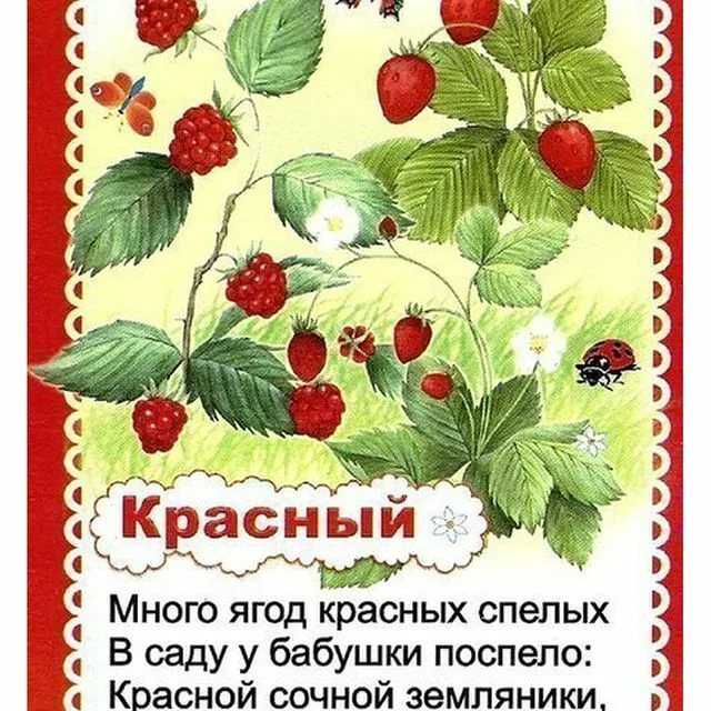 Как выучить с ребенком цвета: 20 стихов и загадок для детей