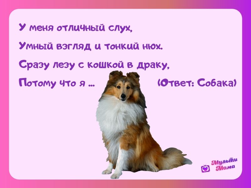 Загадки про собак с ответами - я happy мама