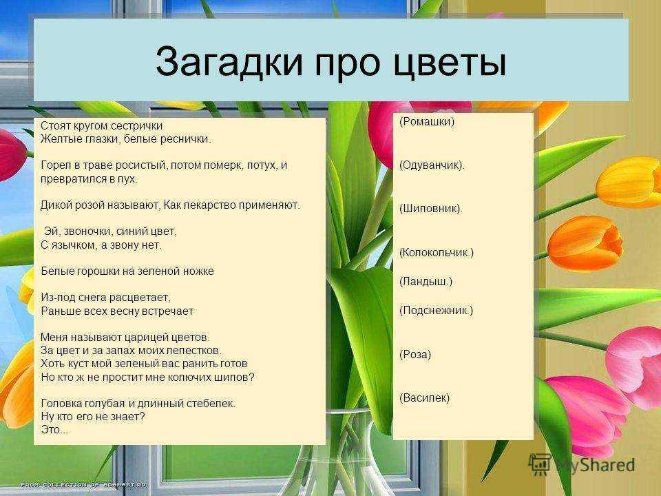 Инструкция по работе с кроссвордом: 1. начинать отгадывать кроссворд можно с любого слова. 2. для того, чтобы появился вопрос, следует нажать на стрелку. - презентация