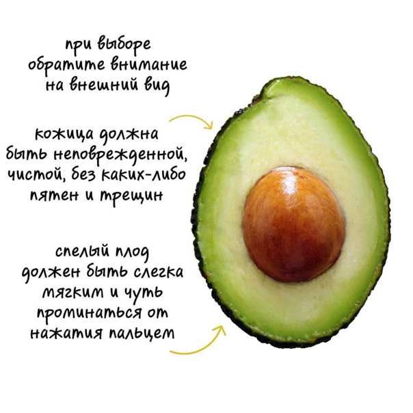 Ода   авокадо