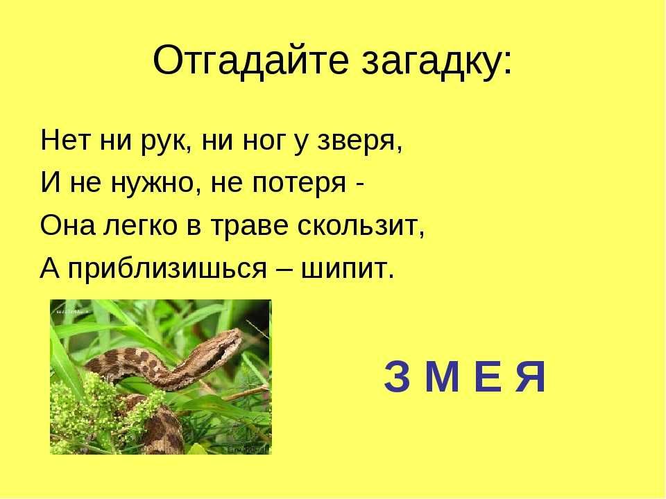Загадки про страны мира и достопримечательности