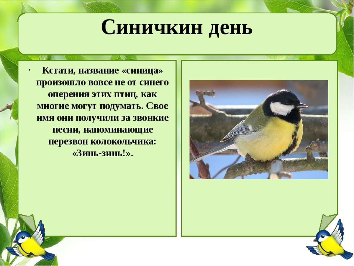 Способы определить безударную гласную в слове «синица»