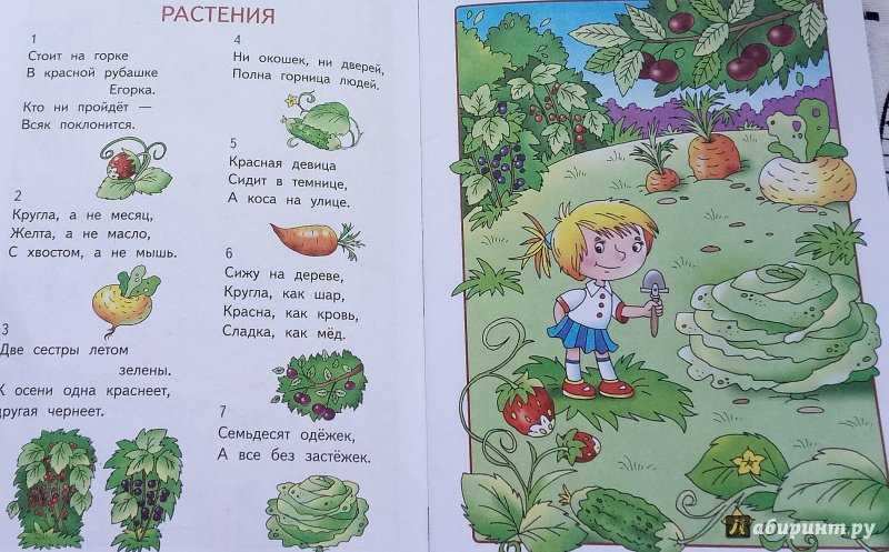 Разнообразные загадки про учителя. разнообразные загадки про учителя загадки ко дню учителя для начальной школы
