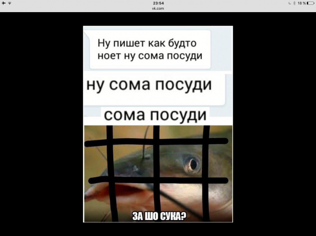 Прикольные картинки - 600+ смешных фото приколов для настроения
