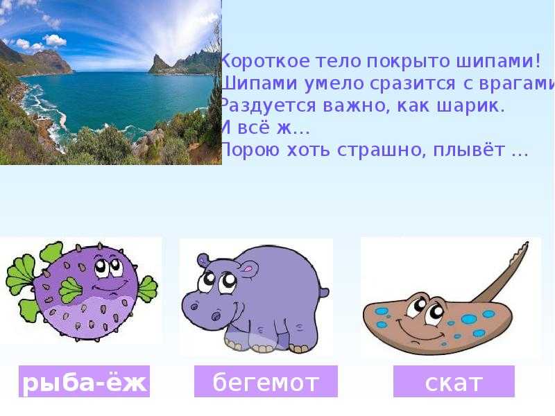 Загадки про животных для детей