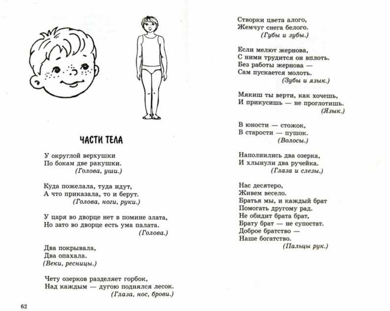 Загадки про части тела для детей | детский развлекательный журнал