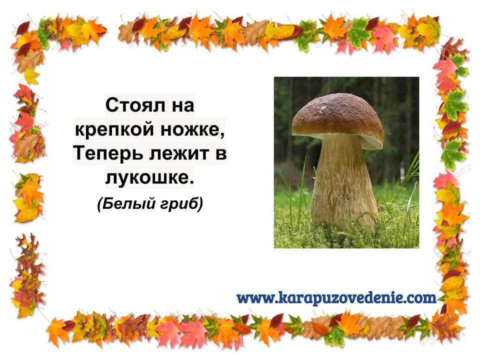 Загадки про бледная поганка - узнавалка.про