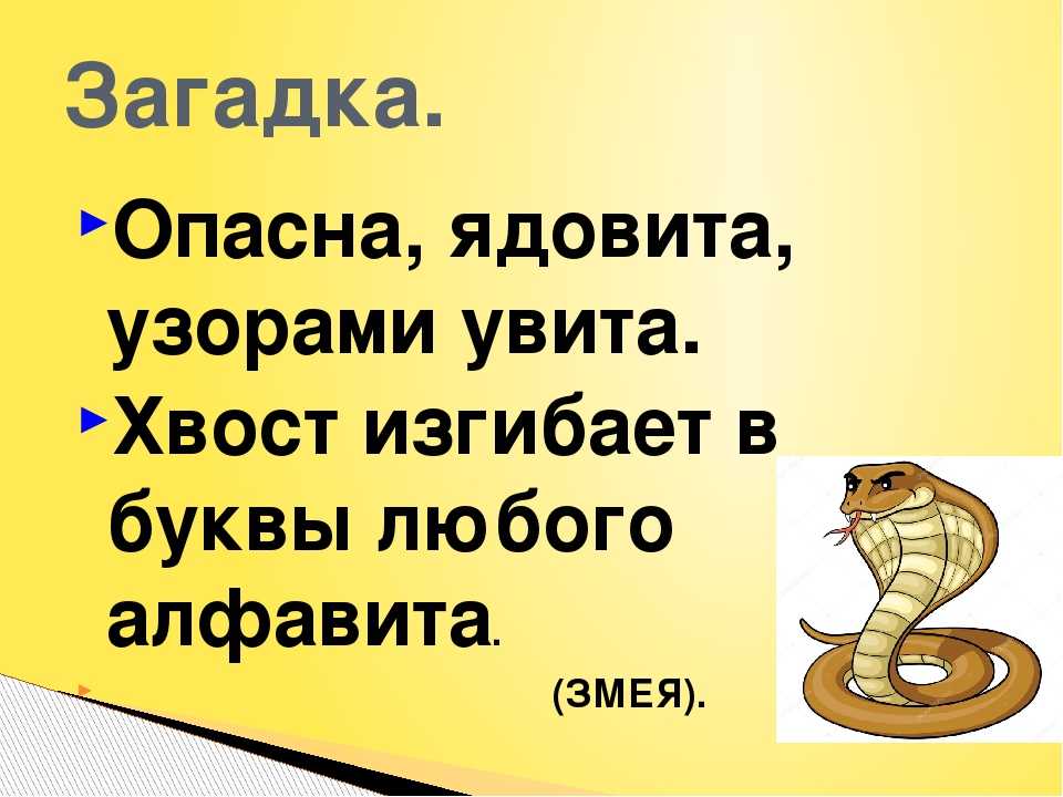 Интересные факты об анакондах