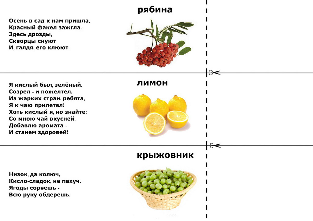 Мракотека | данетки
