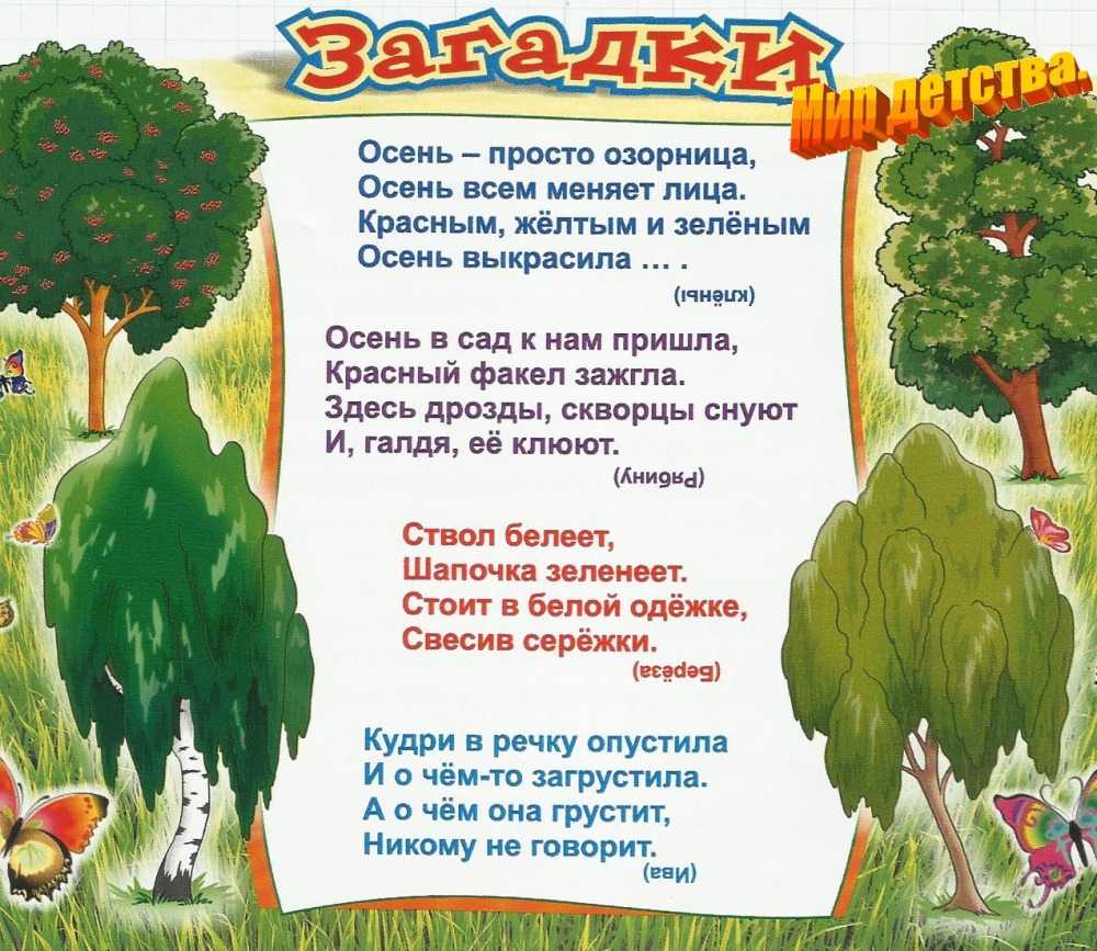 Загадки для детей 5 лет с ответами