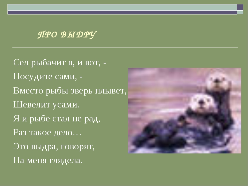 Загадки про животных: 185 смешных, легких, простых и сложных загадок для детей 4, 5, 6 лет и школьников 1, 2, 3-5 класса / mama66.ru