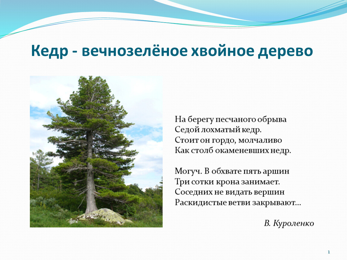 М. ю. лермонтов. мцыри. текст произведения
