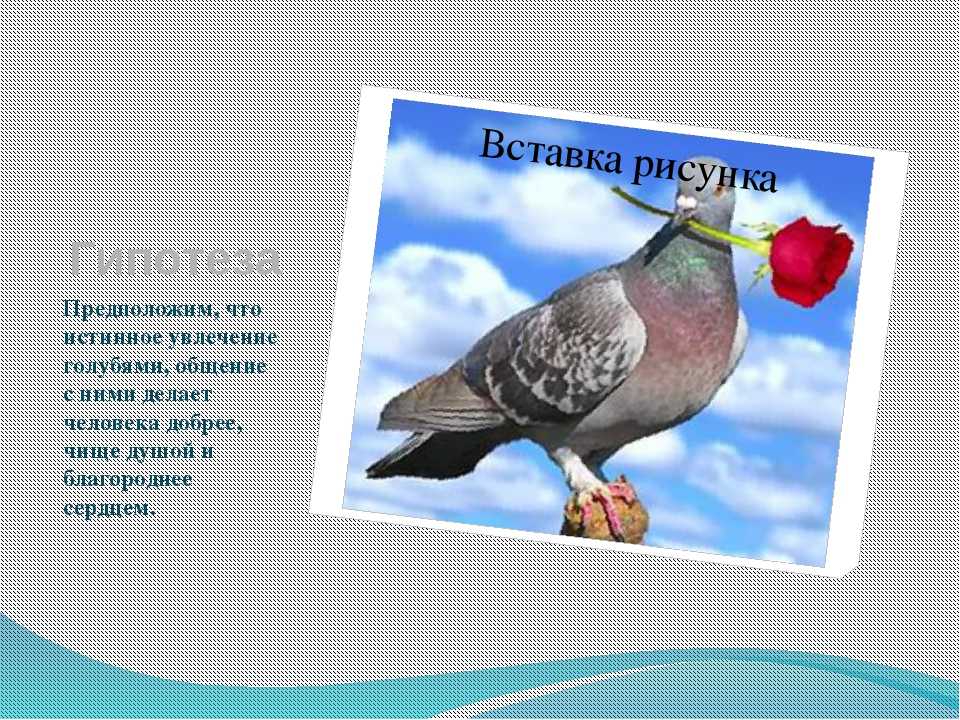 Блестящая задача по математике | черняков и его дневник