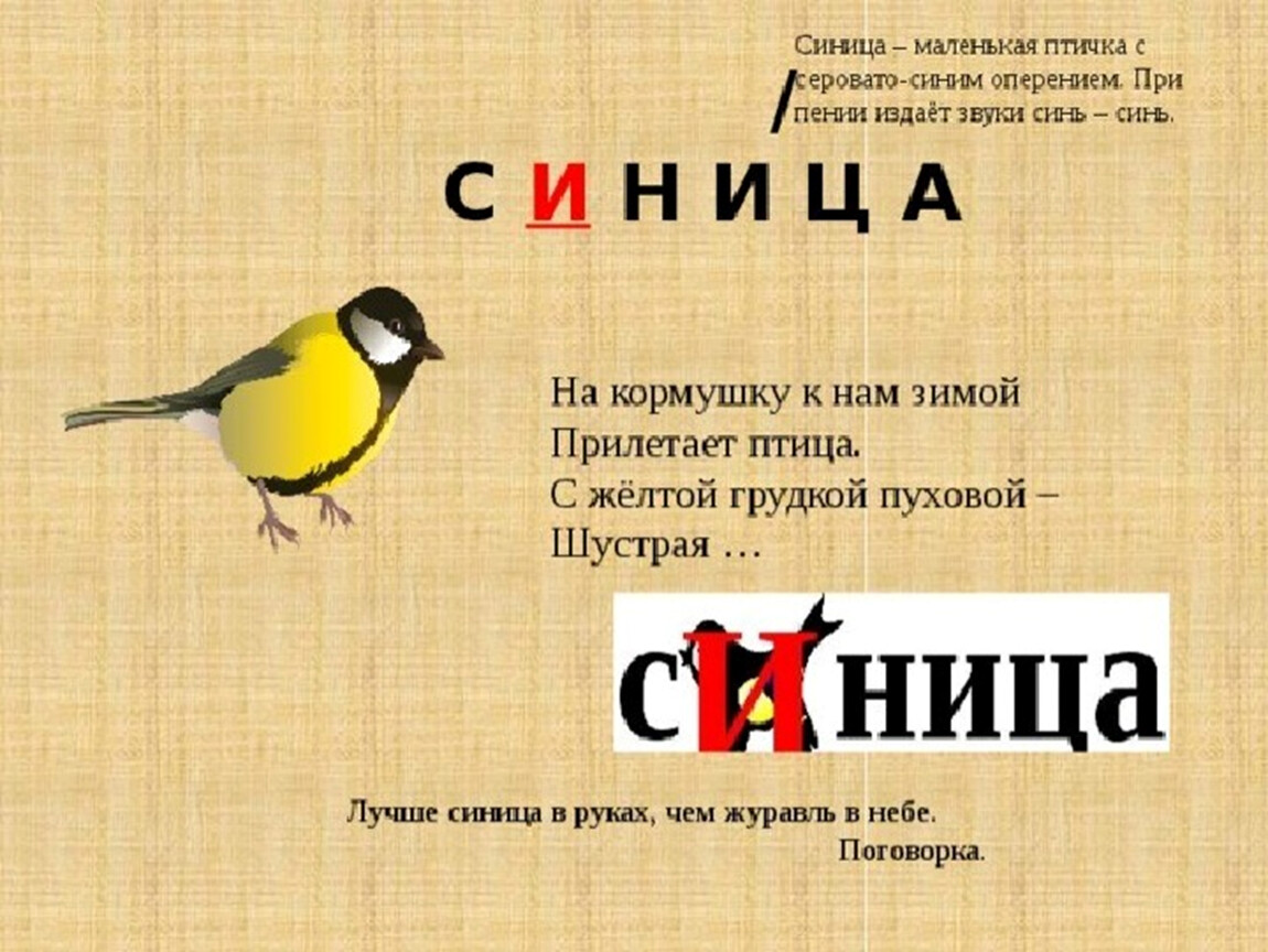 Как узнать проверочное слово у слова синица: подробное руководство