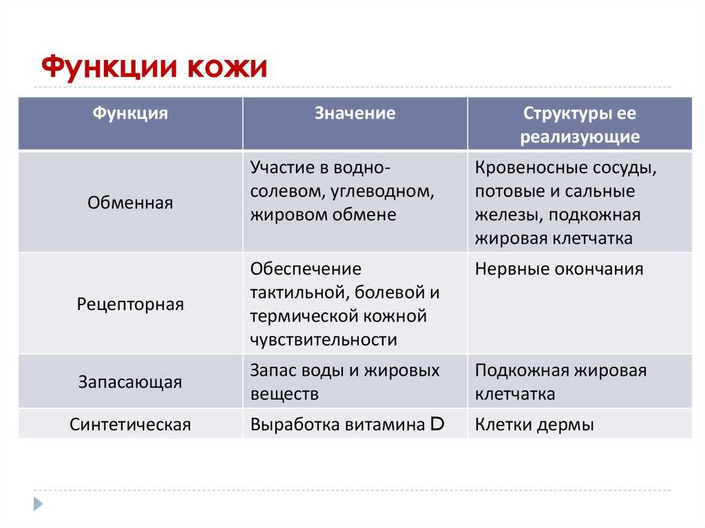 Части тела — картинки для детей дошкольного возраста, задания, игры