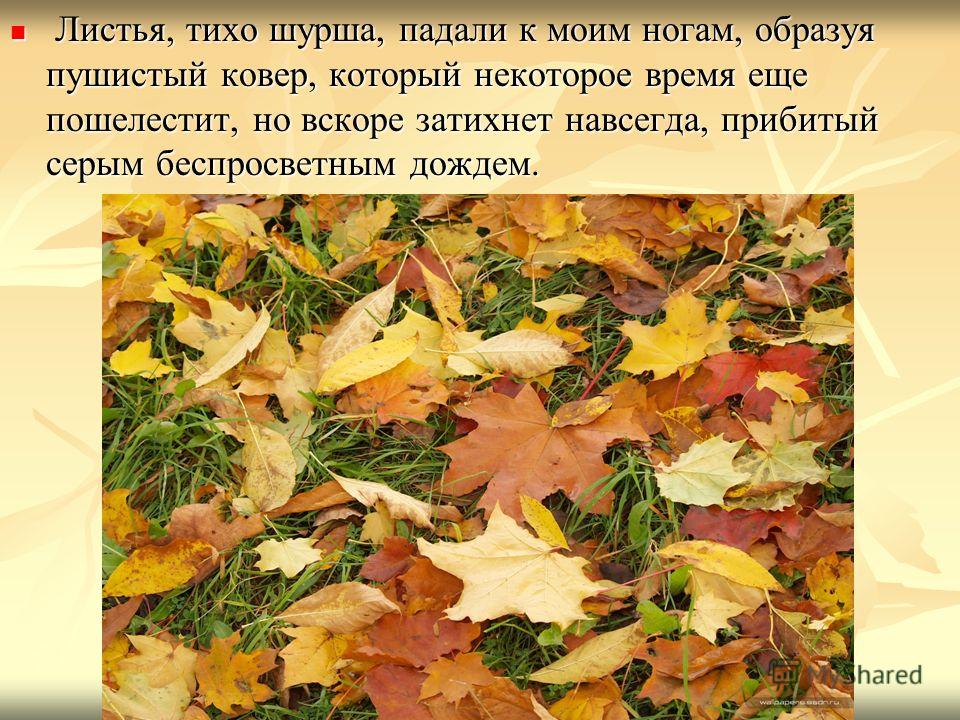 Сочинение на тему: осенние листья (2 варианта и 10 похожих топиков)
