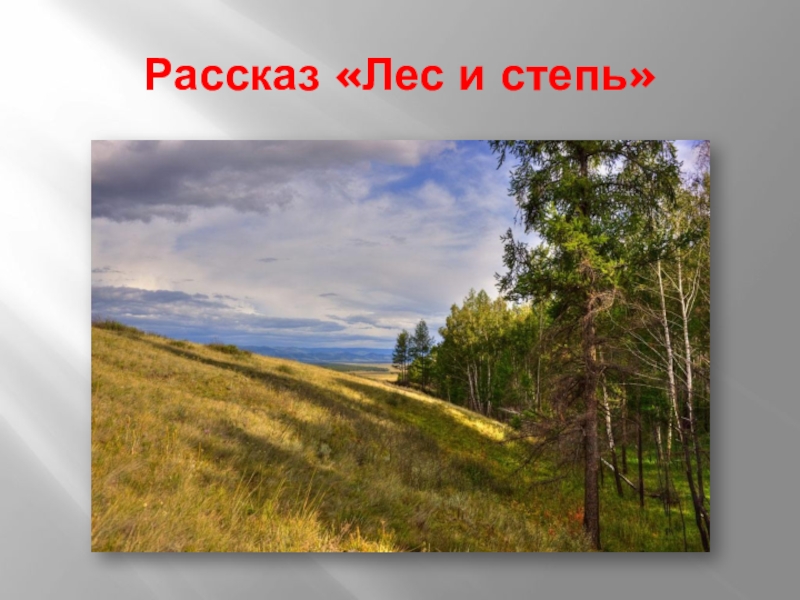 Лес и степь тургенев очень краткое содержание. «лес и степь