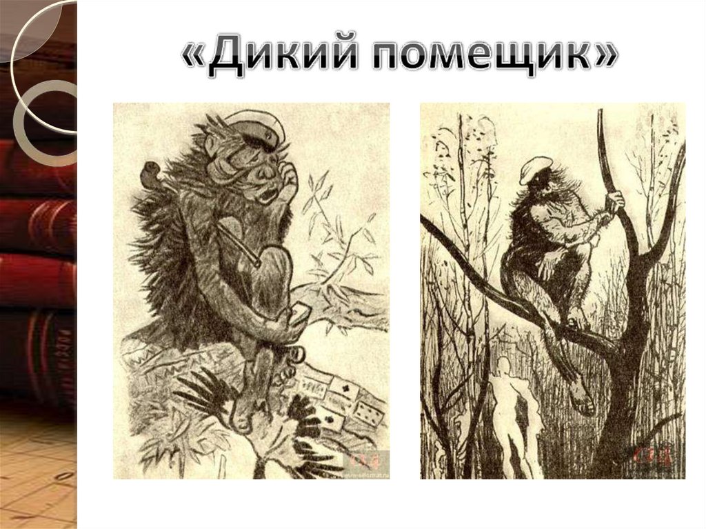 Дикий помещик