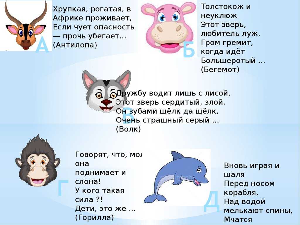 Загадки про домашних и диких животных для детей с ответами