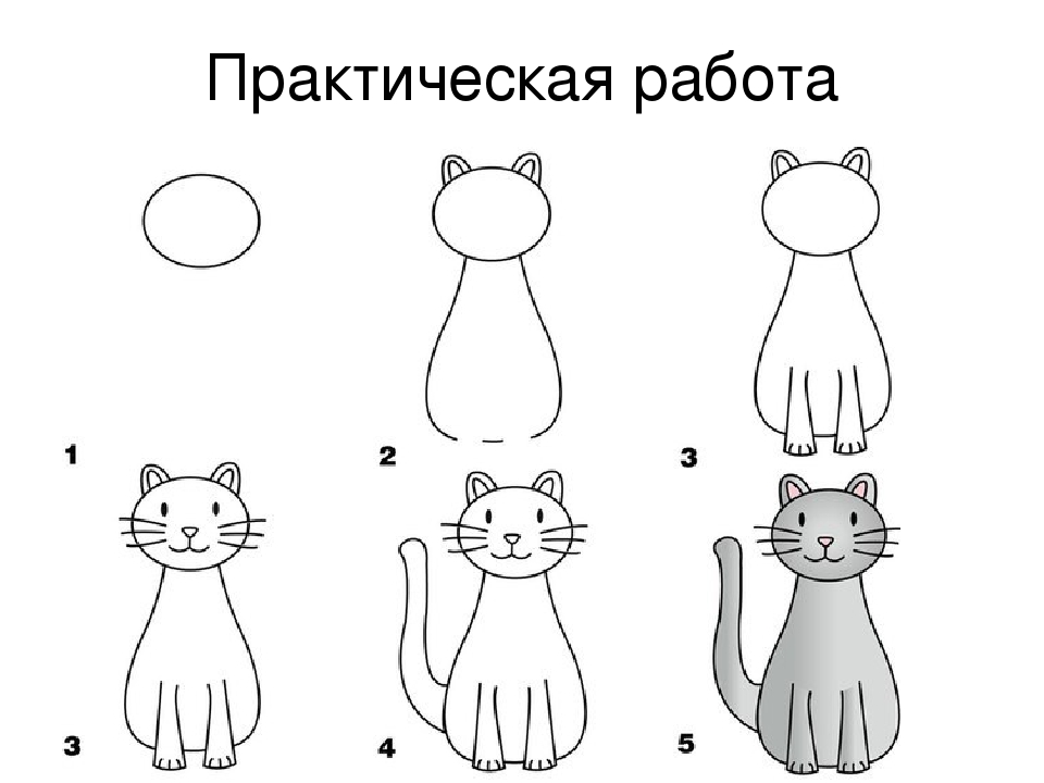 Как нарисовать эхо ребенку