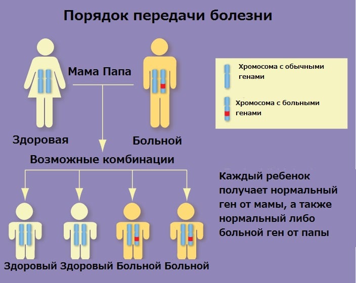 Как человек наследует гены и на что они влияют