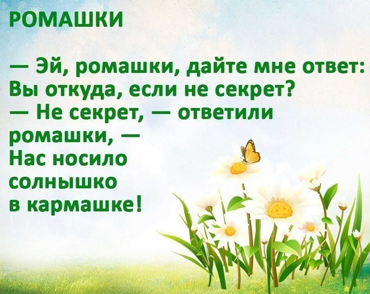 Стихи про овощи и фрукты