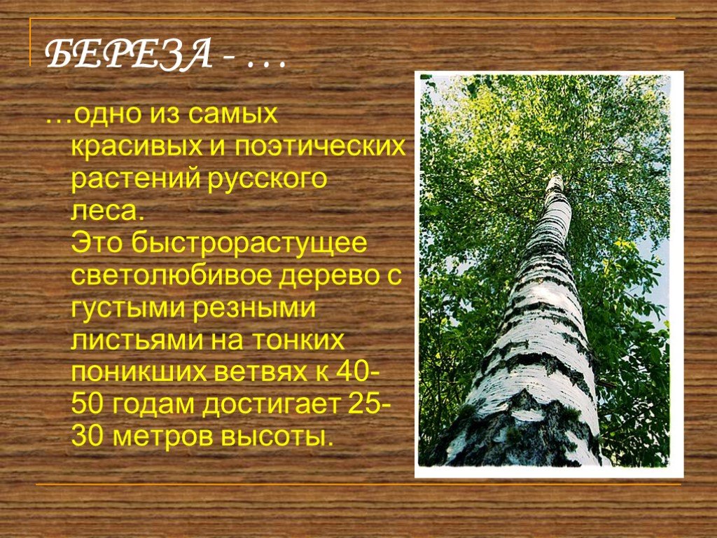 Замечательные рассказы русских писателей для детей и взрослых. воспитателям детских садов, школьным учителям и педагогам - маам.ру