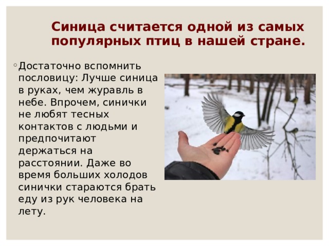 Лексическое значение пословицы лучше синица в руках чем журавль в небе