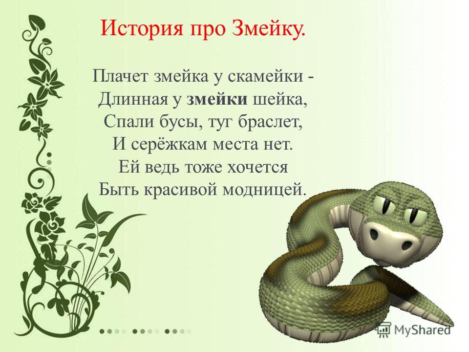 Giant anaconda