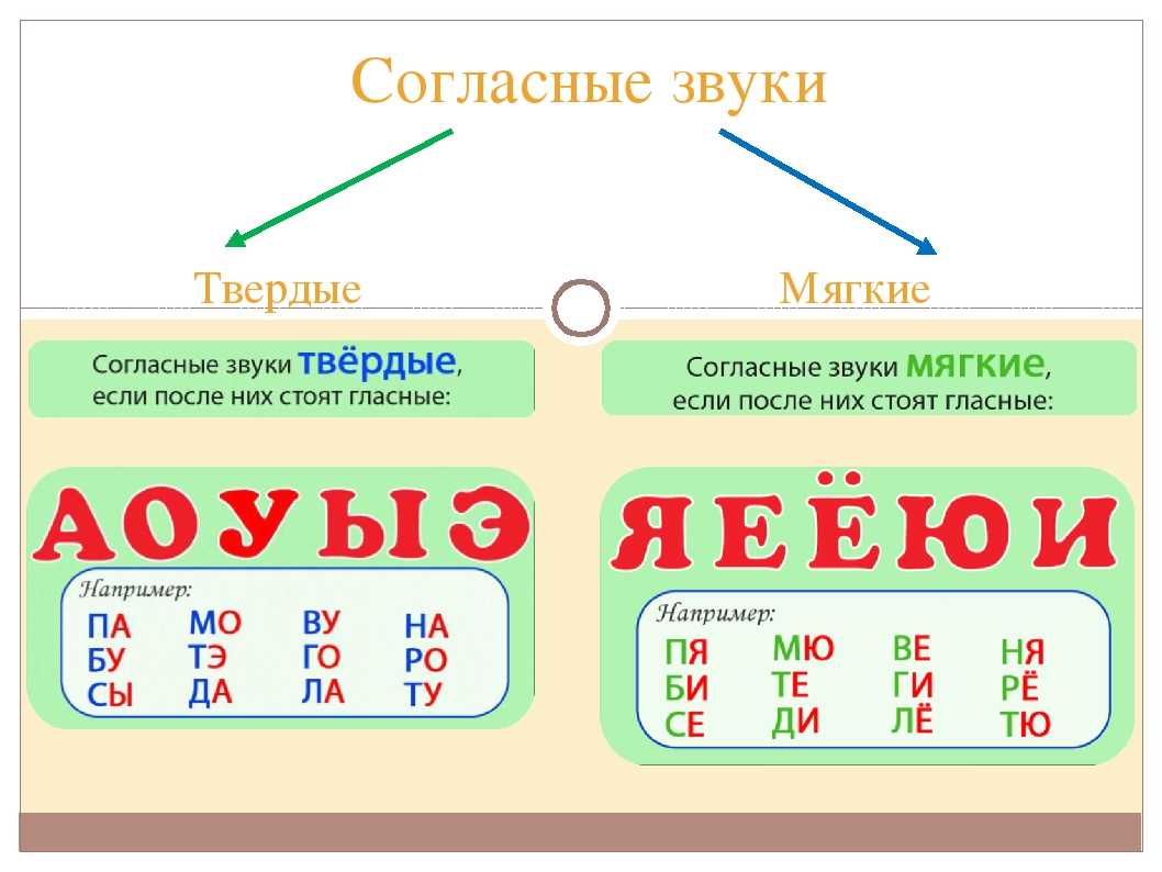 Глава 2. фонетика / как устроен наш язык. большой справочник по теории для 5-11 классов / русский на 5