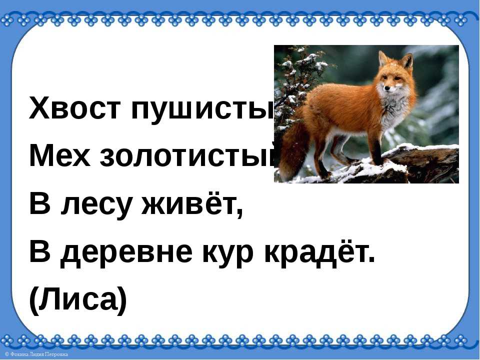 Загадки про лису для детей разного возраста