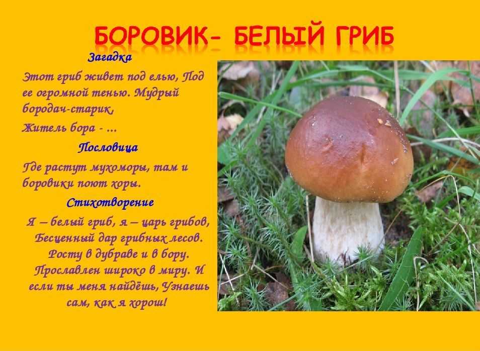 Считалки для детей — новинки (120 штук): простые, русские народные, сказочные