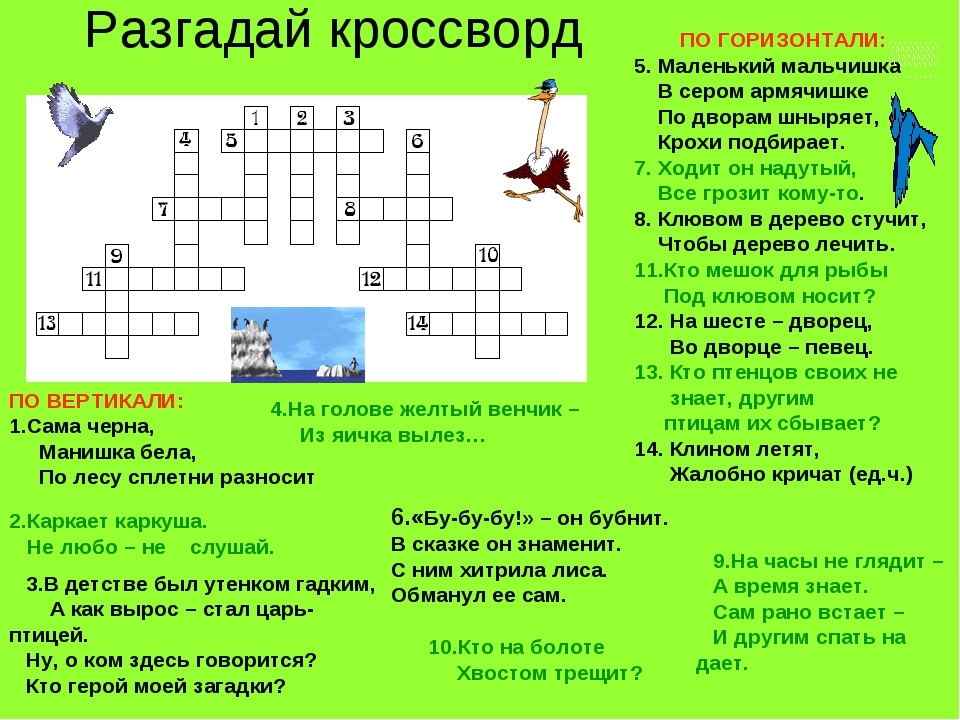 Загадка про первую учительницу на выпускном. разнообразные загадки про учителя