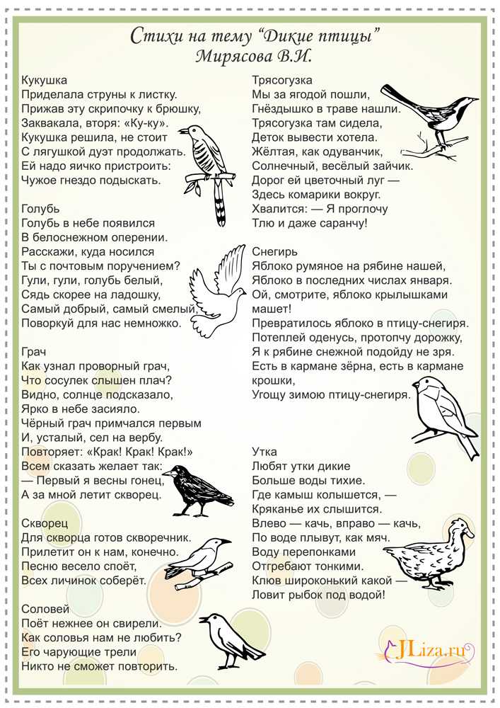 Птицы зимой, новые стихи и проза