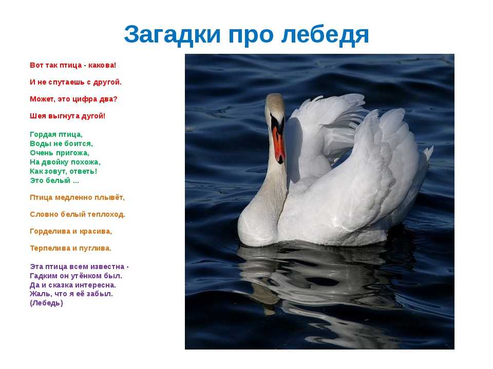 Загадка про сказку гуси лебеди для детей 6 7 лет - граматика и образование