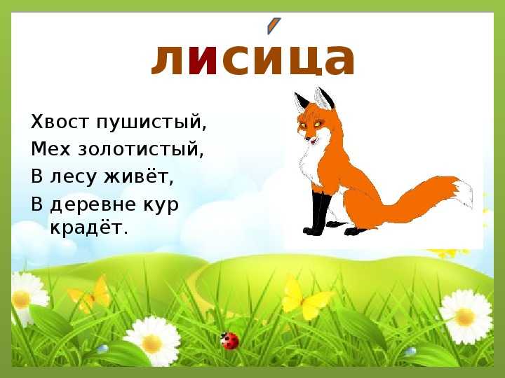 Загадки про лису - подготовка к школе и развивающие задания для детей мама7я