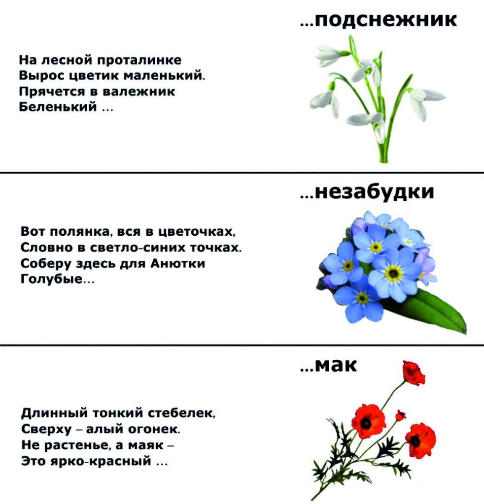 Милые загадки про цвета для малышей