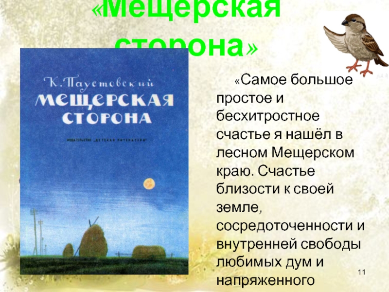 Мещерская сторона паустовский краткое содержание главам. «мещерская сторона» паустовского. лесные реки и каналы