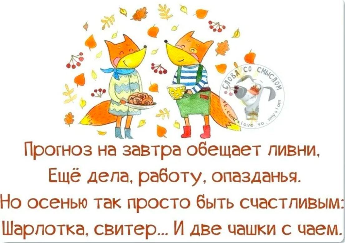 Стишки веселые про осень. стихотворения про осень с юмором