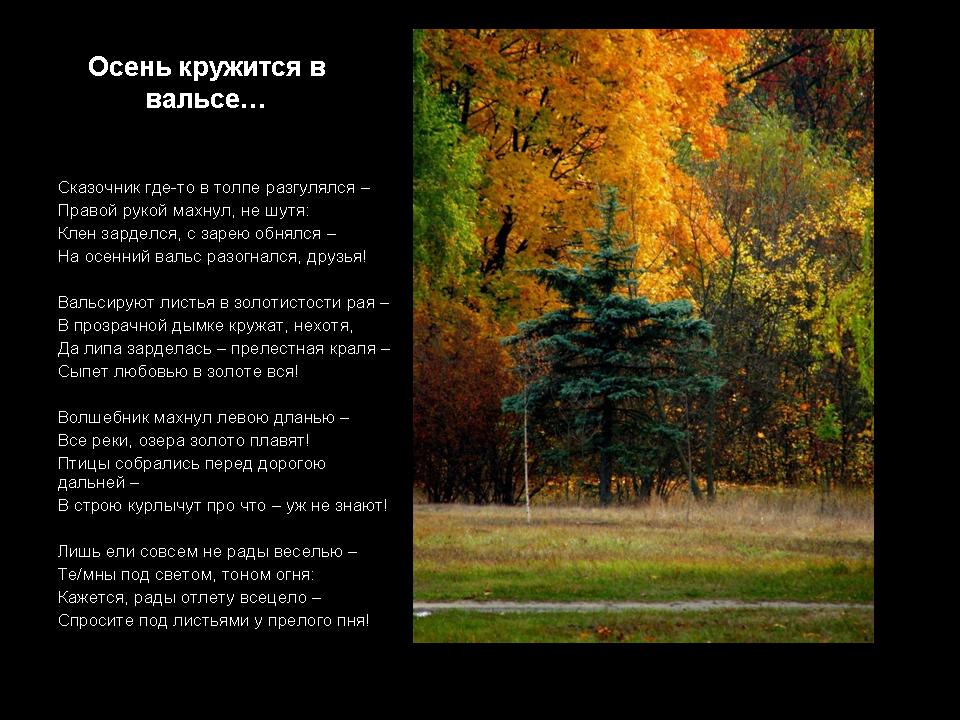Песня наша школа текст. наша школа в вальсе осеннем кружится природа - текст песни наша школа в вальсе осеннем кружится природа