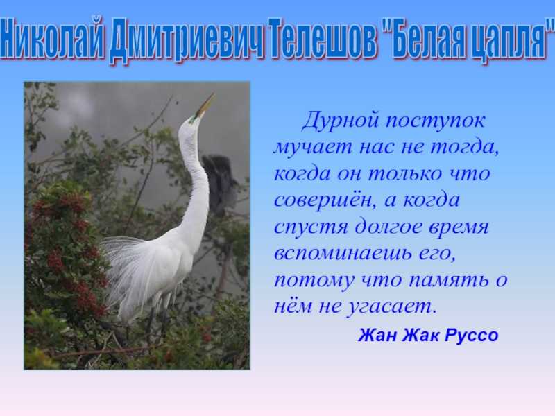 «белая цапля». краткое содержание сказки